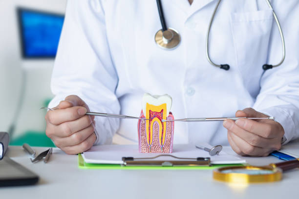 Best Emergency Root Canal Treatment in Port Ludlow, WA